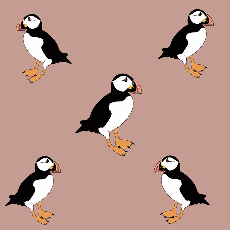 puffins jersey