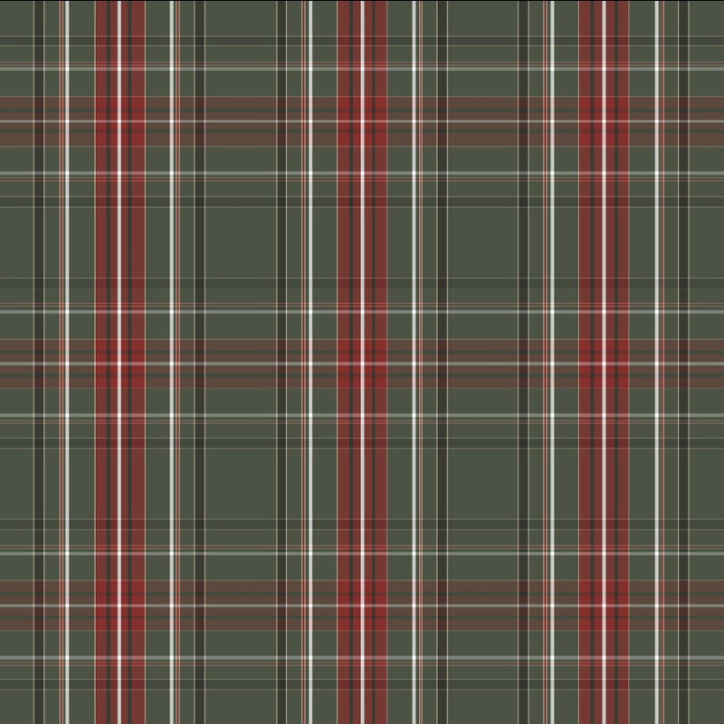 christmas tartan jersey